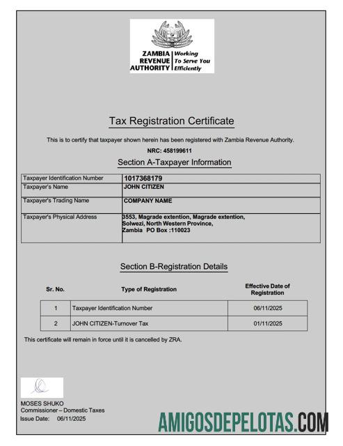 Modelo realista de certificado de registro fiscal da Zâmbia Word e PDF
